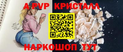 скорость Кингисепп