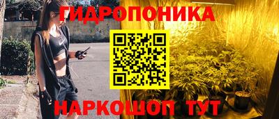 a pvp Кимры