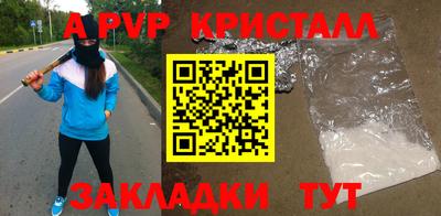 скорость Кингисепп
