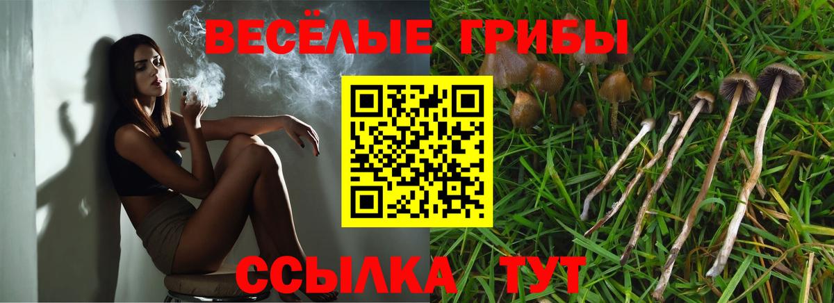 Псилоцибиновые грибы мухоморы Кстово