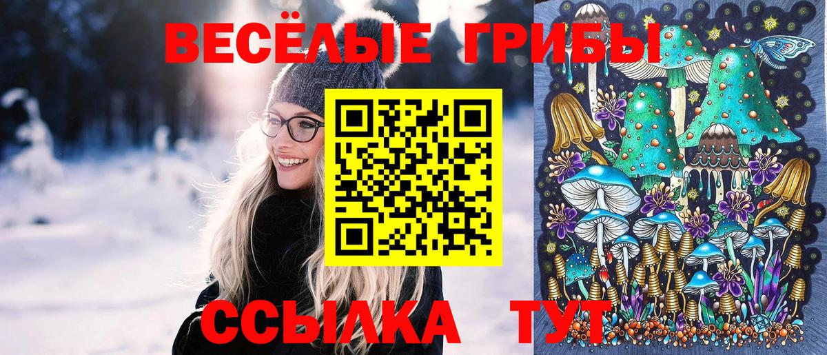 Кстово  Псилоцибиновые грибы Cubensis  где можно купить наркотик  Псилоцибиновые грибы MAGIC MUSHROOMS  Вход с VPN 
